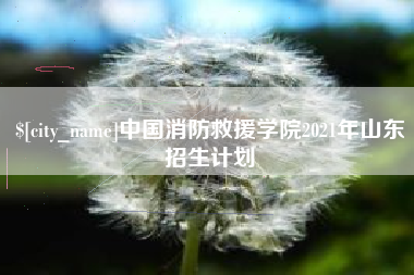 阿克苏中国消防救援学院2021年山东招生计划