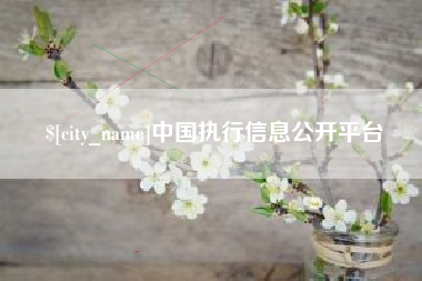 阿克苏中国执行信息公开平台