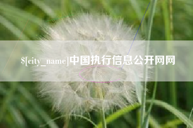 阿克苏中国执行信息公开网网