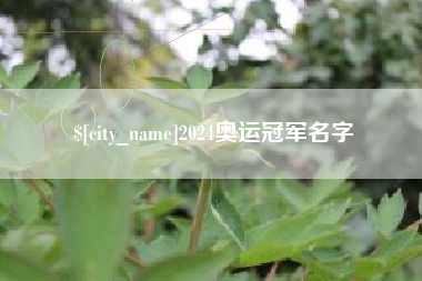 阿克苏2024奥运冠军名字