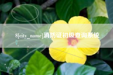 阿克苏消防证初级查询系统