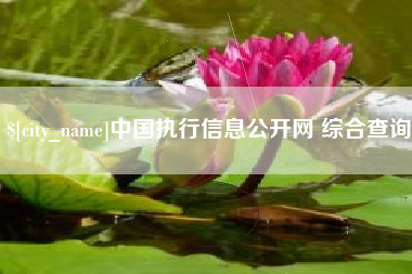阿克苏中国执行信息公开网 综合查询