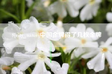 阿克苏中国金牌得了几枚金牌