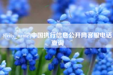 阿克苏中国执行信息公开网客服电话查询