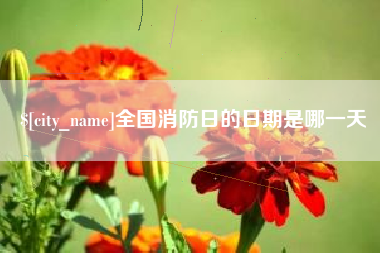 阿克苏全国消防日的日期是哪一天