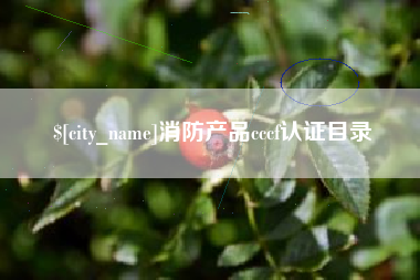 阿克苏消防产品cccf认证目录