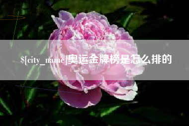 阿克苏奥运金牌榜是怎么排的