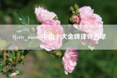 阿克苏中国十大金牌律师名单