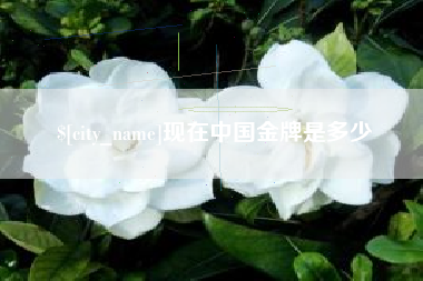 阿克苏现在中国金牌是多少