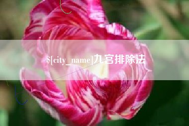 阿克苏九宫排除法