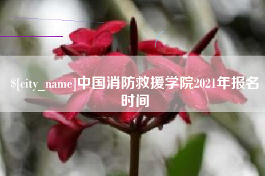 阿克苏中国消防救援学院2021年报名时间