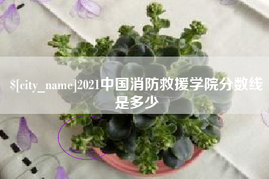 阿克苏2021中国消防救援学院分数线是多少