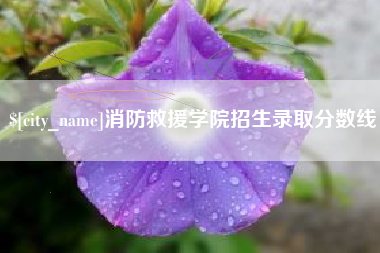 阿克苏消防救援学院招生录取分数线
