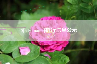 阿克苏执行信息公示