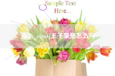 阿克苏王子豪是怎么写