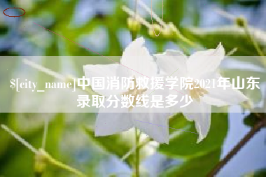 阿克苏中国消防救援学院2021年山东录取分数线是多少