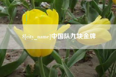 阿克苏中国队九块金牌