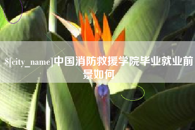 阿克苏中国消防救援学院毕业就业前景如何