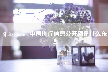 阿克苏中国执行信息公开网是什么东西