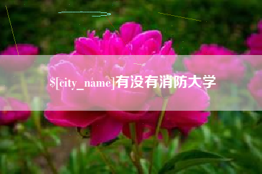 阿克苏有没有消防大学