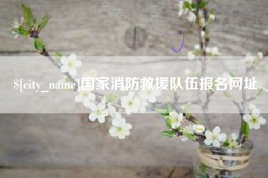 阿克苏国家消防救援队伍报名网址
