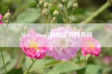 阿克苏消控证官网查询