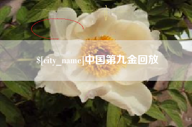 阿克苏中国第九金回放