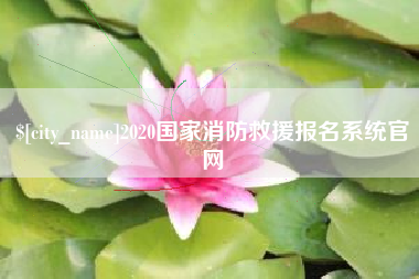 阿克苏2020国家消防救援报名系统官网