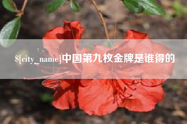 阿克苏中国第九枚金牌是谁得的