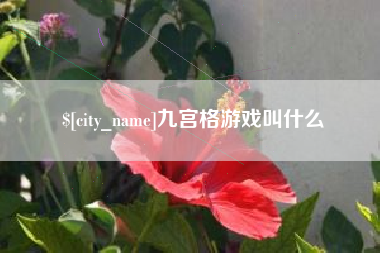 阿克苏九宫格游戏叫什么