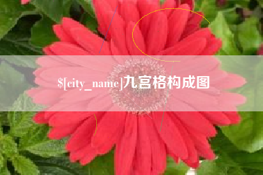 阿克苏九宫格构成图