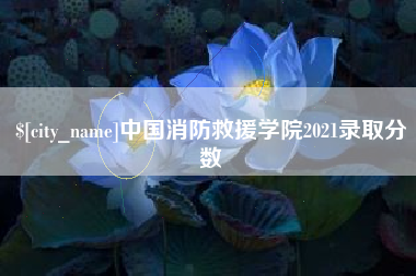 阿克苏中国消防救援学院2021录取分数