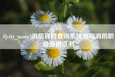 阿克苏消防官网查询系统查询消防职业资格证书