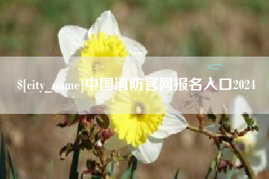 阿克苏中国消防官网报名入口2024