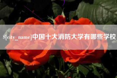 阿克苏中国十大消防大学有哪些学校