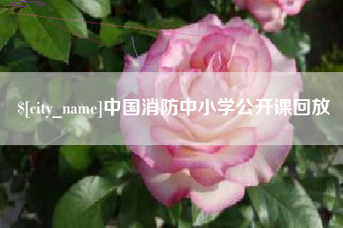 阿克苏中国消防中小学公开课回放