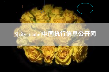 阿克苏中国执行信息公开网