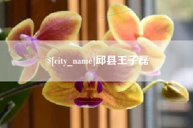 阿克苏邱县王子磊