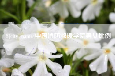 阿克苏中国消防救援学院男女比例