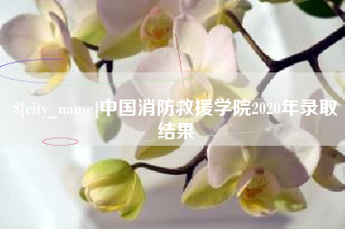 阿克苏中国消防救援学院2020年录取结果