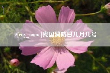 阿克苏我国消防日几月几号