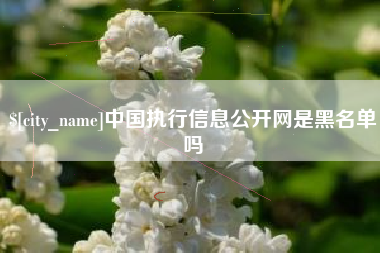 阿克苏中国执行信息公开网是黑名单吗