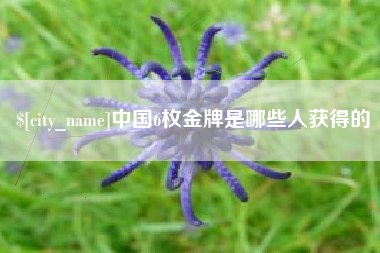 阿克苏中国6枚金牌是哪些人获得的