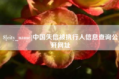 阿克苏中国失信被执行人信息查询公开网址