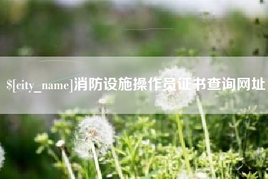 阿克苏消防设施操作员证书查询网址