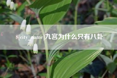 阿克苏九宫为什么只有八卦