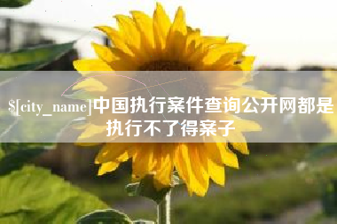 阿克苏中国执行案件查询公开网都是执行不了得案子