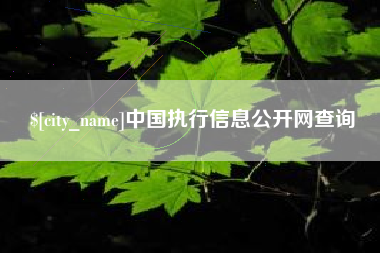 阿克苏中国执行信息公开网查询