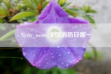 阿克苏全国消防日哪一
