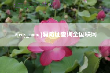 阿克苏消防证查询全国联网